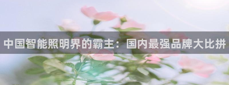 云顶国际酒店几星