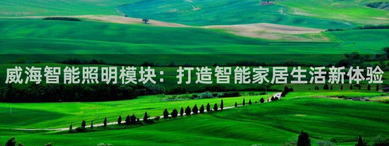 云顶集团董事长林东简历介绍