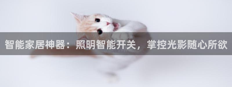 云顶国际和百姓渔村哪家好