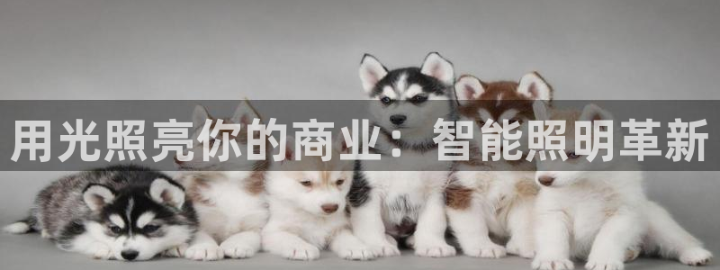 云顶集团中国区