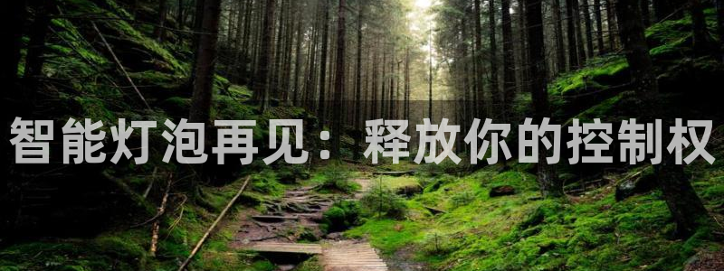 云顶国际ktv宁波