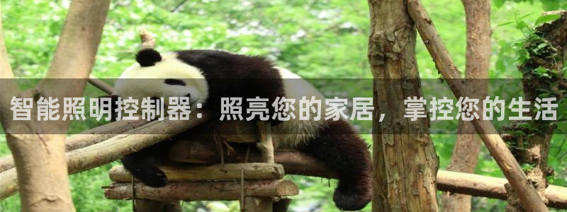 云顶国际app手机版下载