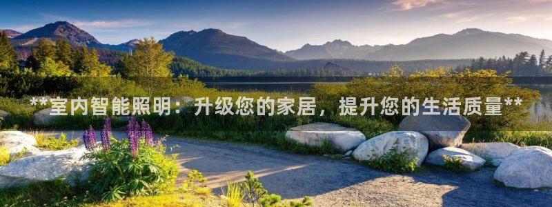云顶国际服怎么玩
