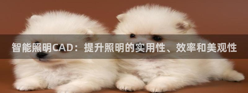 云顶集团3118