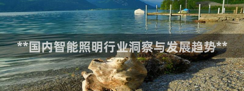 云顶国际是合法的吗
