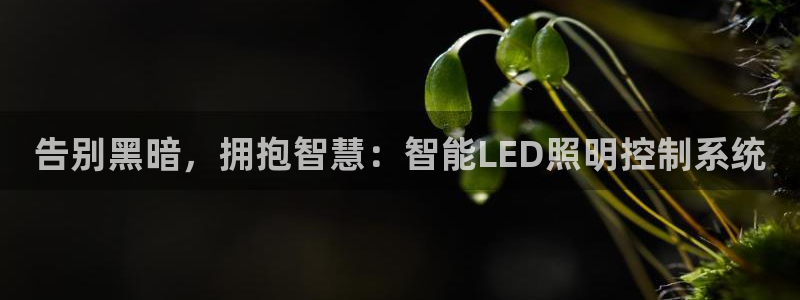 552211云顶网站