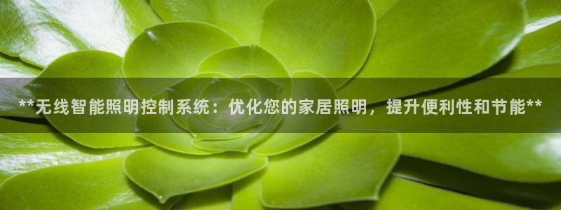 云顶国际官方网站下载安装