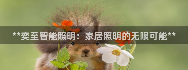 云顶国际商业广场停车收费标准