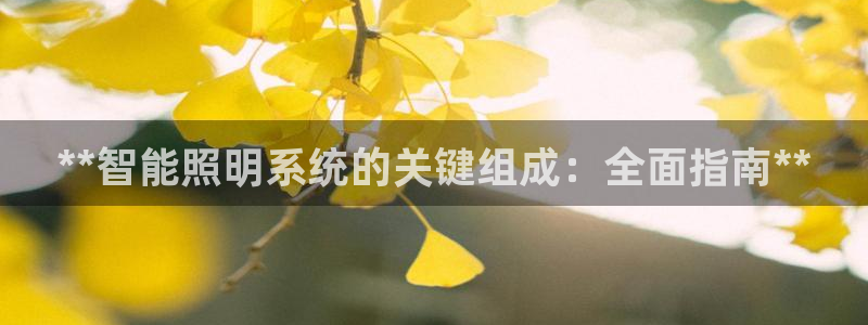 云顶电竞app