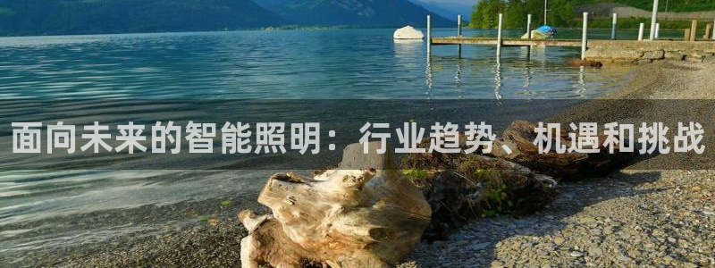 云顶国际旅行社