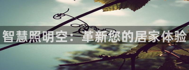 云顶集团简介资料