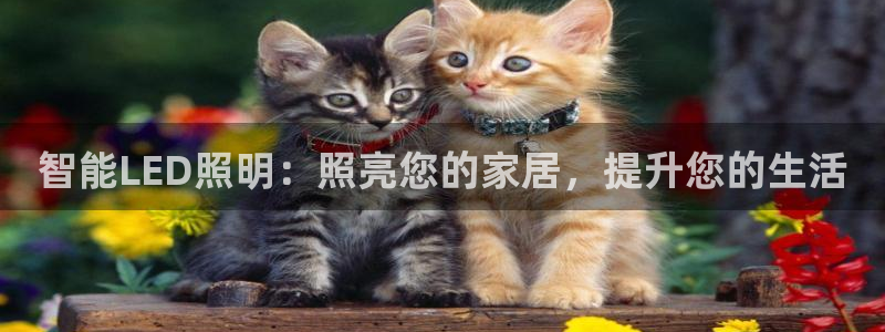 云顶国际登录