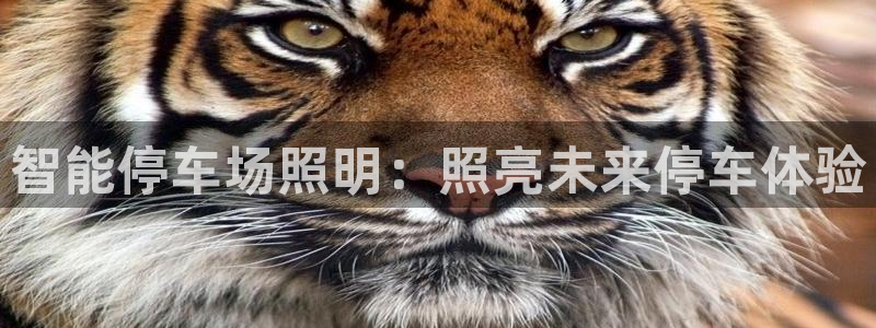 云顶国际滑雪场在哪里