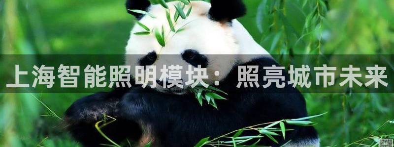 云顶国际是做什么的公司