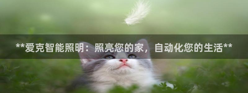 云顶集团电话