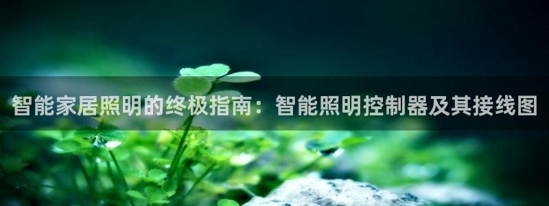 云顶国际是什么公司