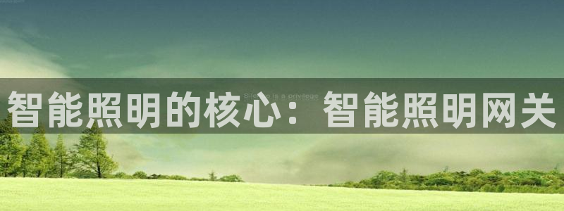 4188云顶集团下载