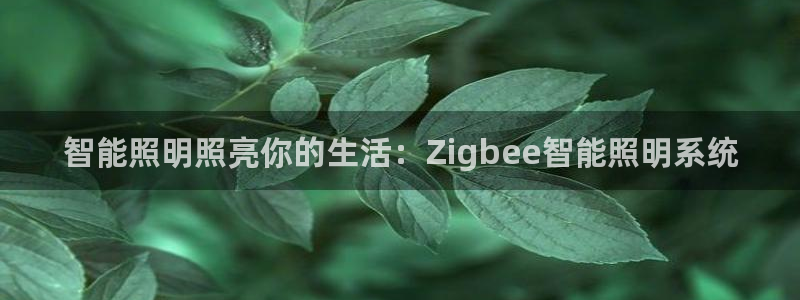 云顶国际在线登录