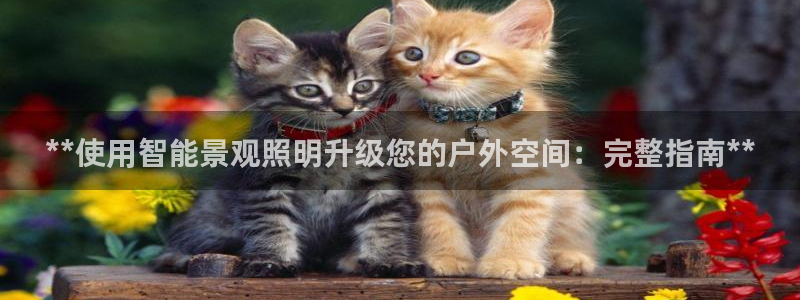 云顶国际前台电话