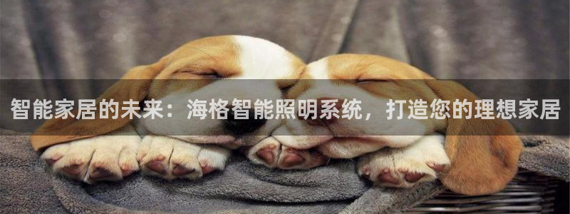 云顶国际不出款