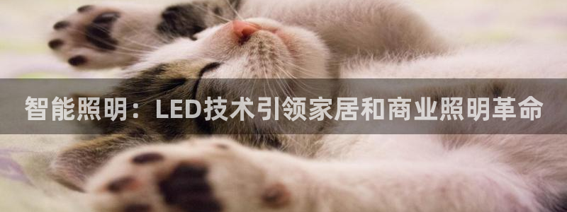 云顶国际物流官网电话