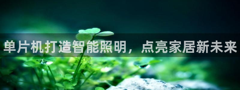 云顶国际大厦地址