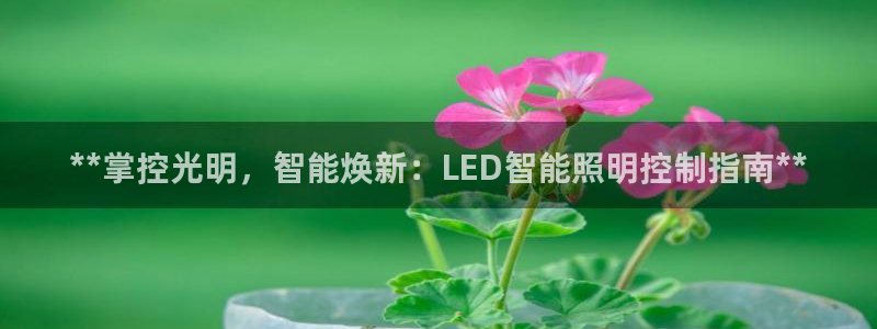 云顶国际测试服