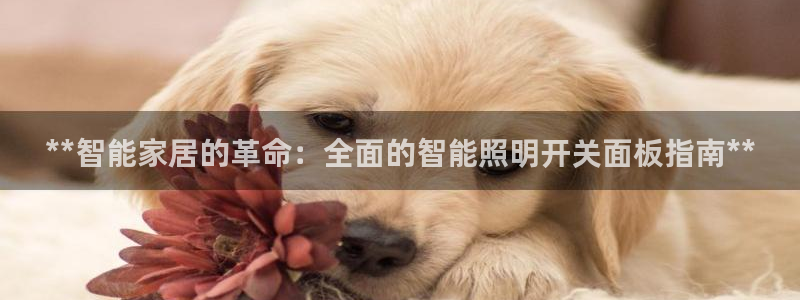 云顶集团简介概况