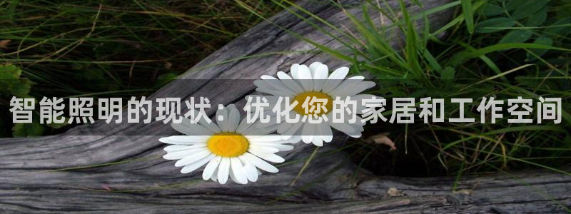 云顶集团公司官网