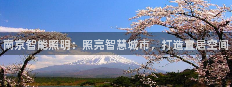 云顶集团官网登录入口下载