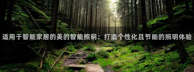 云顶集团游戏app8293