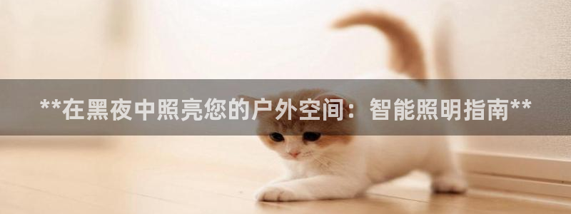 禹州云顶国际二手房