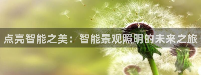 云顶国际黑款不