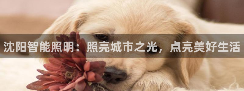 云顶国际婚礼大酒店位于哪里的