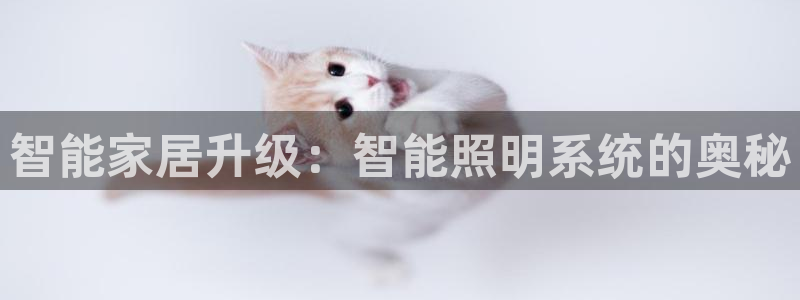 云顶国际官网下载手机版