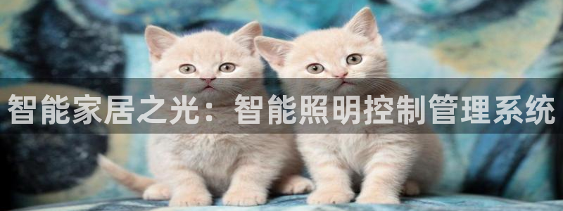 云顶国际ktv宁波
