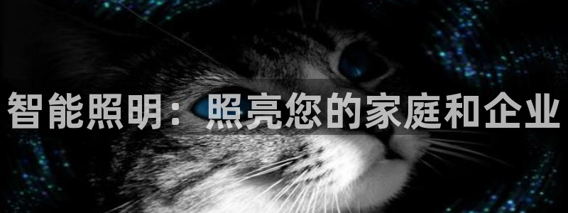 云顶国际投资有限公司怎么样