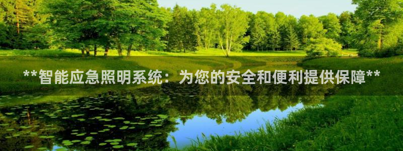 云顶国际服s9