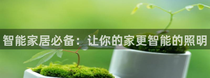 云顶国际宴会中心的凉菜