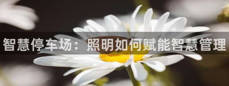 云顶国际服什么时候更新赛季