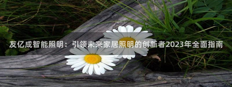 云顶集团有限公司简介图片
