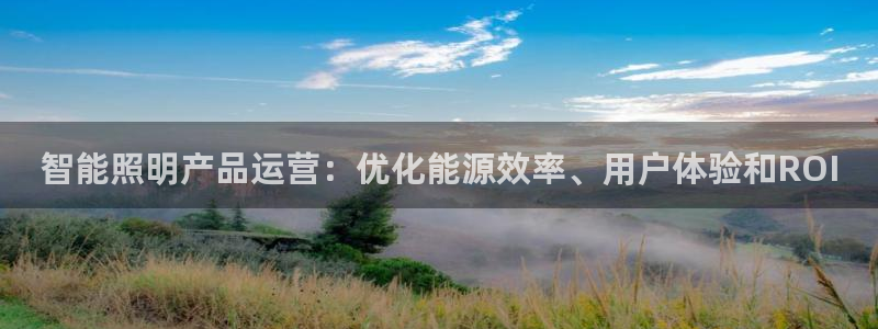 云顶国际会所
