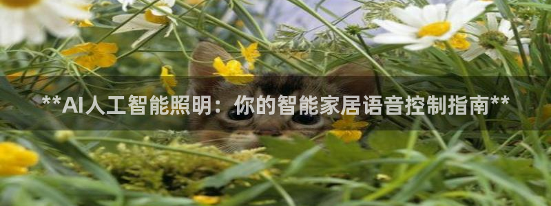云顶国际服更新了吗