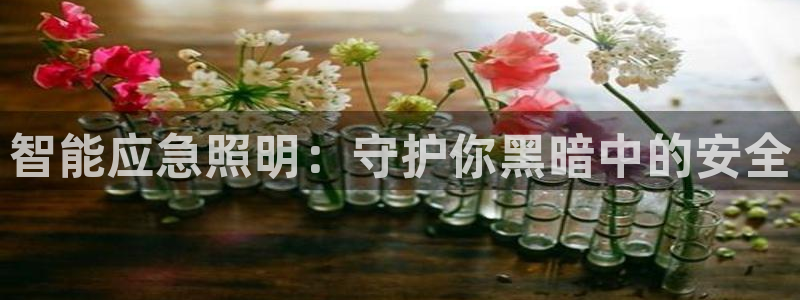 云顶国际公馆户型图