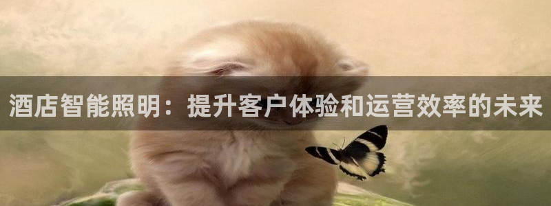 云顶国际服有中文吗
