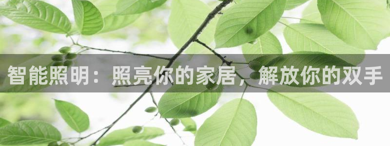 云顶国际官方网页