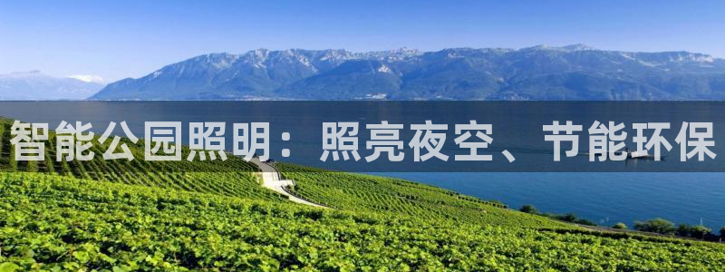 云顶集团董事长林东
