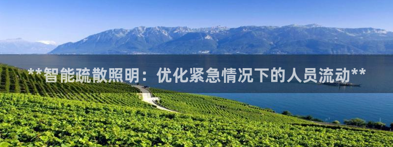 云顶国际是正规游戏吗