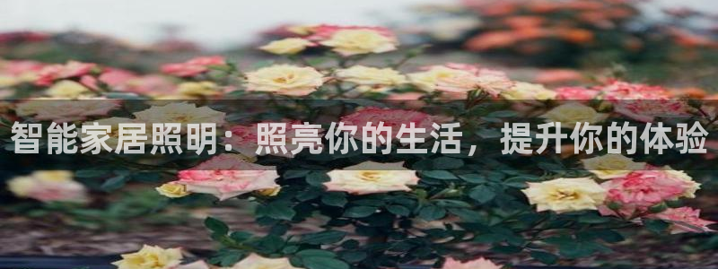 云顶国际是个什么网站
