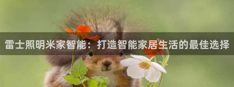 云顶国际是什么充值安全吗